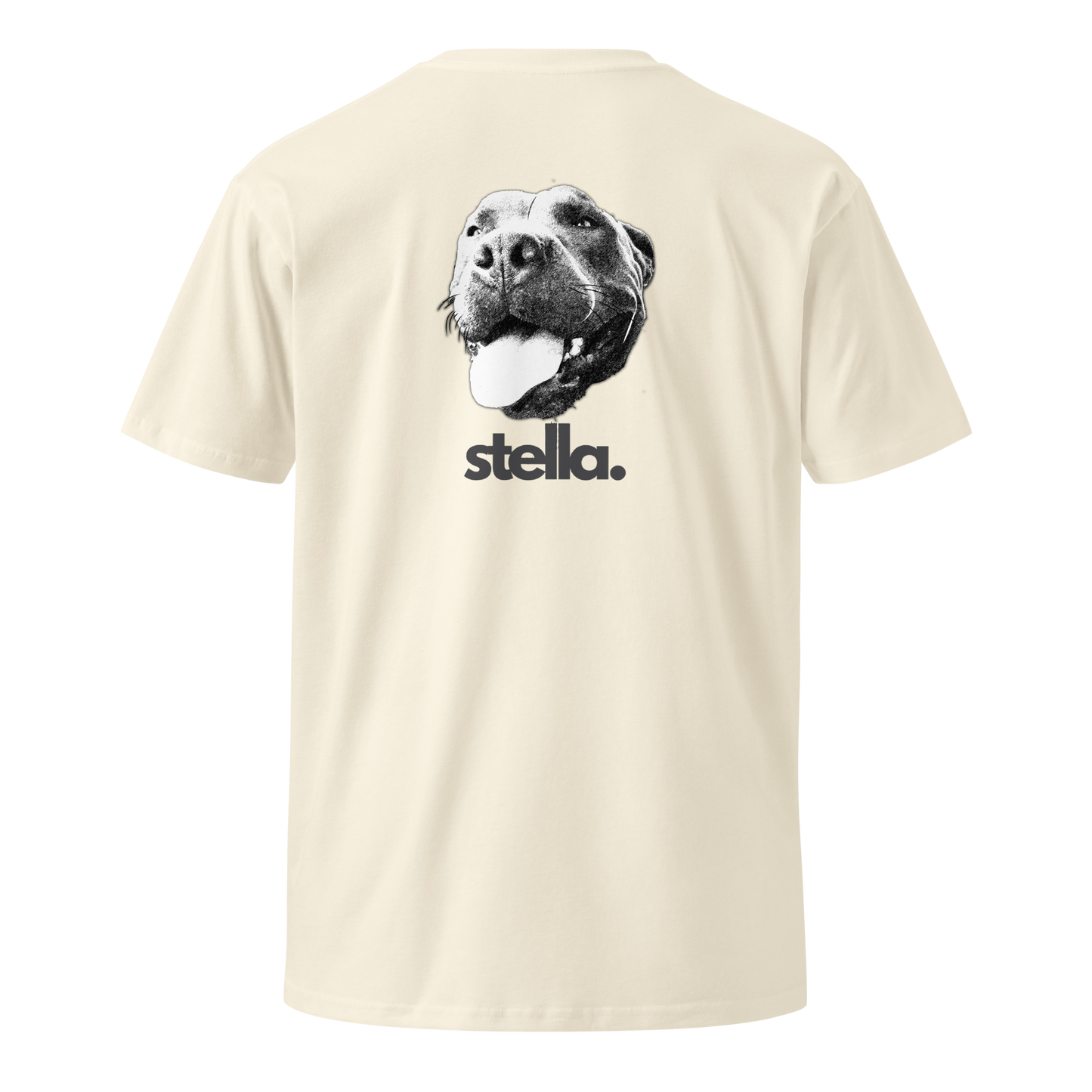 Saucy Stella Face Tee